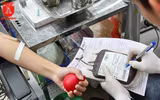Hàng nghìn người hiến máu tại Lễ hội Xuân hồng 2018
